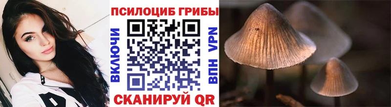 Галлюциногенные грибы ЛСД  Камень-на-Оби 