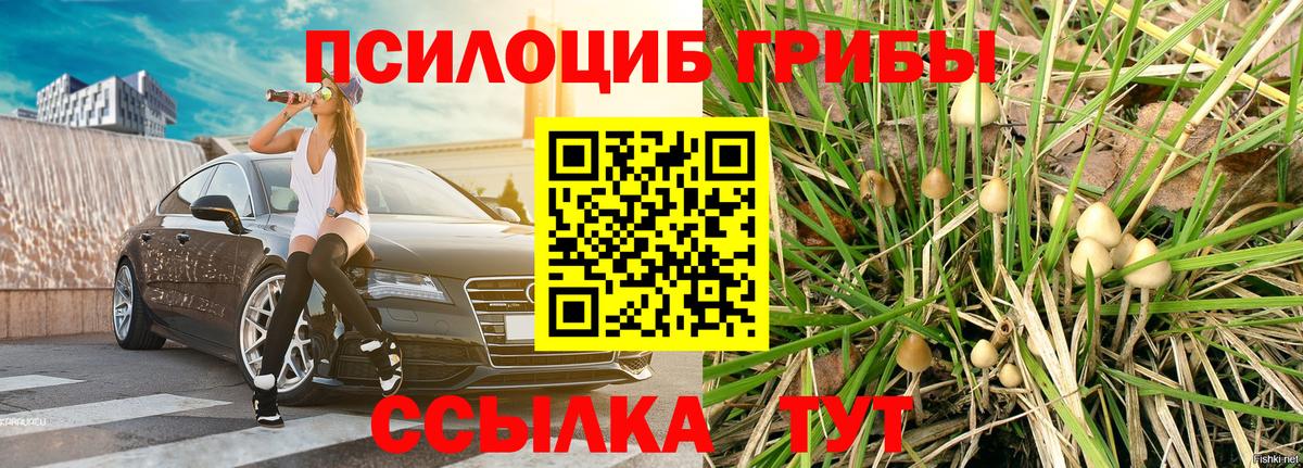 Псилоцибиновые грибы Psilocybine cubensis  Псилоцибиновые грибы GOLDEN TEACHER  Вход с VPN  Камень-на-Оби 