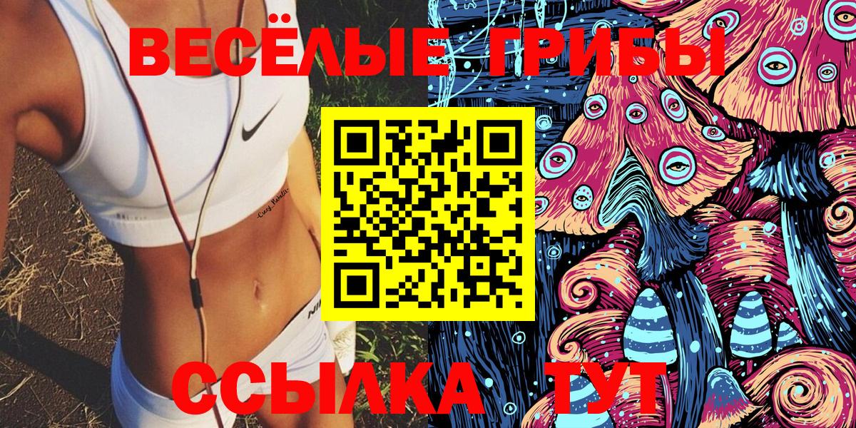 Псилоцибиновые грибы ЛСД Камень-на-Оби