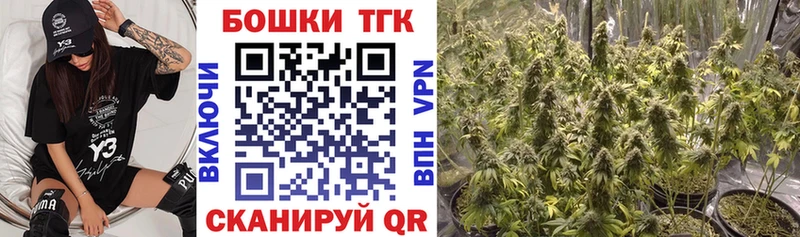 Шишки марихуана THC 21%  KRAKEN как войти  Камень-на-Оби 